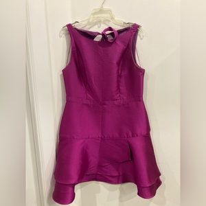Adrianna Papell Magenta Cocktail Dress Size 12